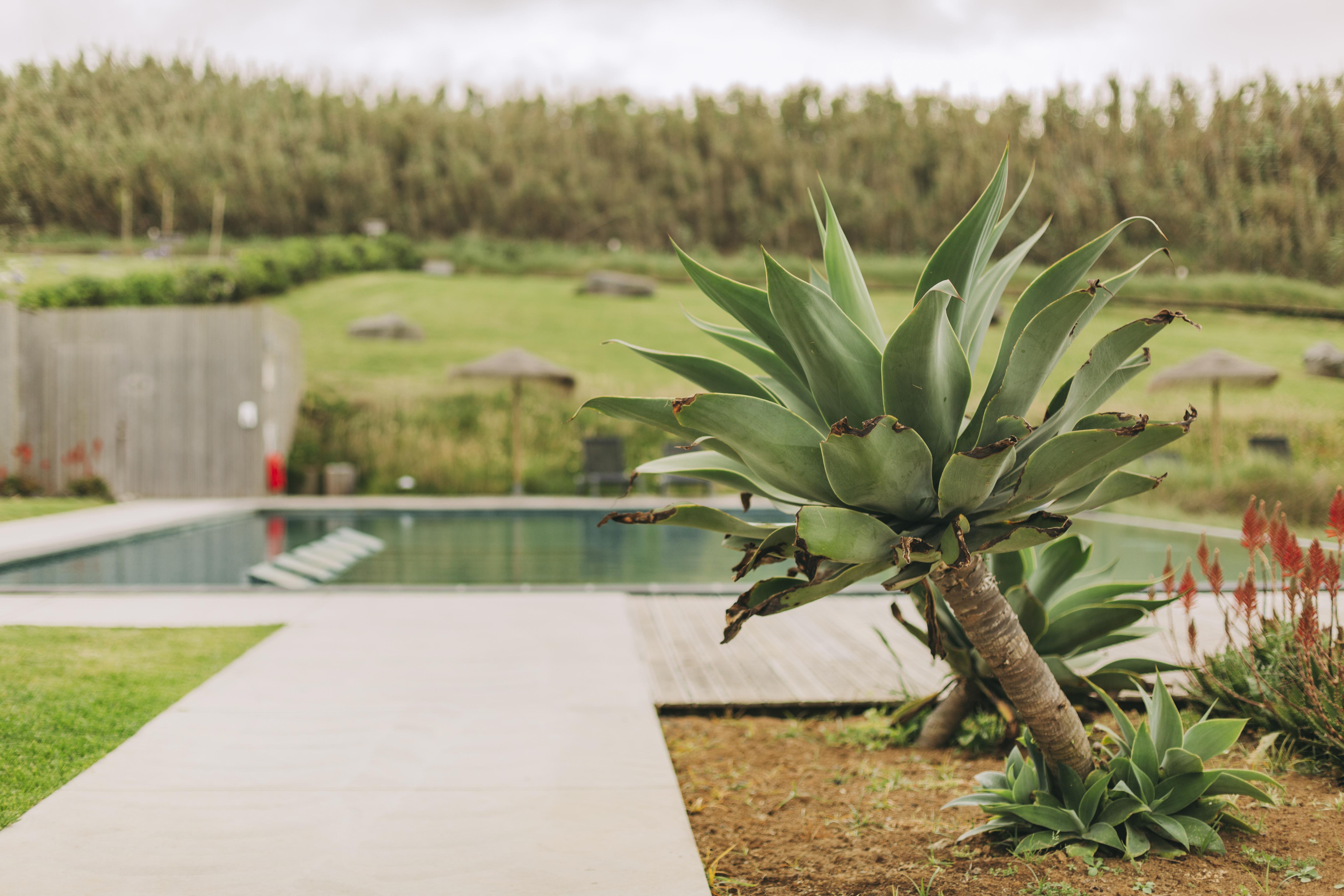 Santa Barbara Eco-Beach Resort Ribeira Grande Exterior photo